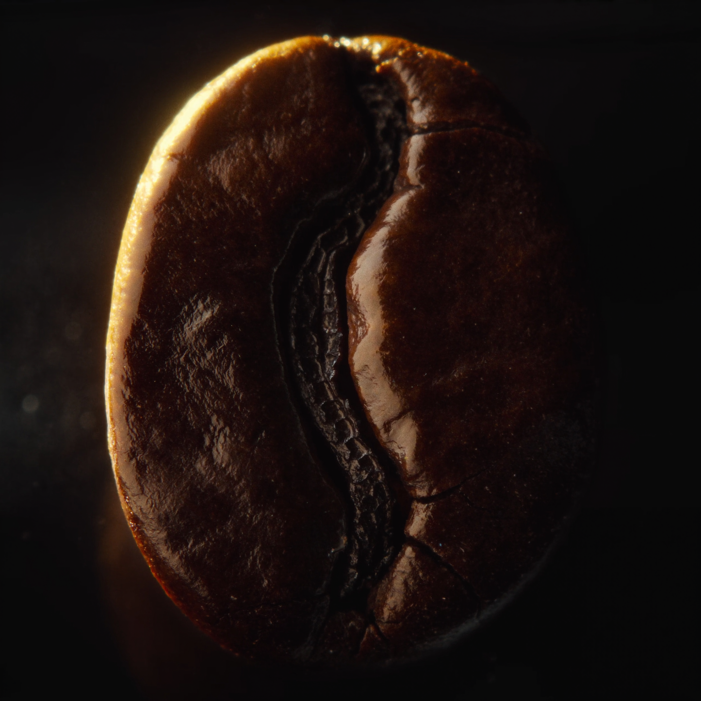 LDU Coffee Beans